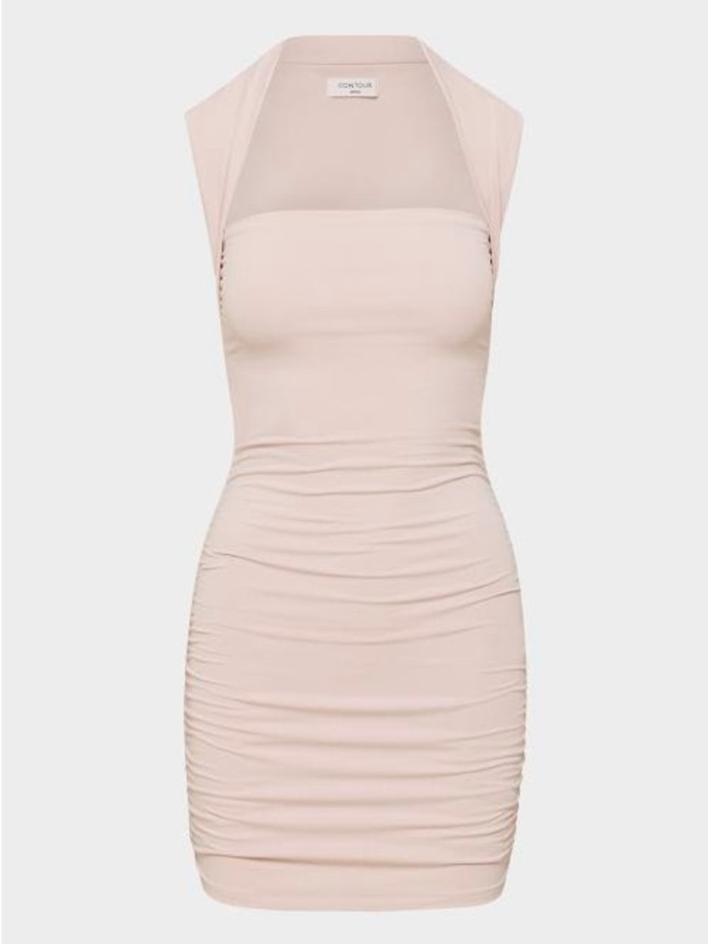 Aritzia Contour Flourish Mini Dress